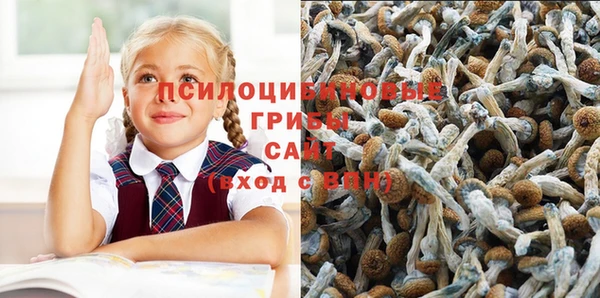 дживик Балабаново