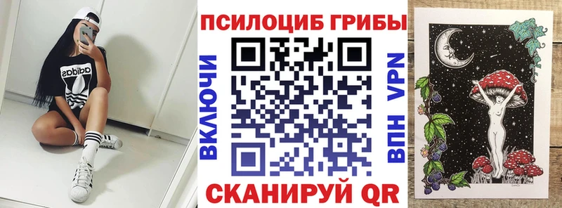 как найти наркотики  Вязьма  Псилоцибиновые грибы Magic Shrooms 