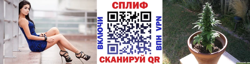 shop как зайти  Вязьма  Конопля MAZAR  купить наркоту 